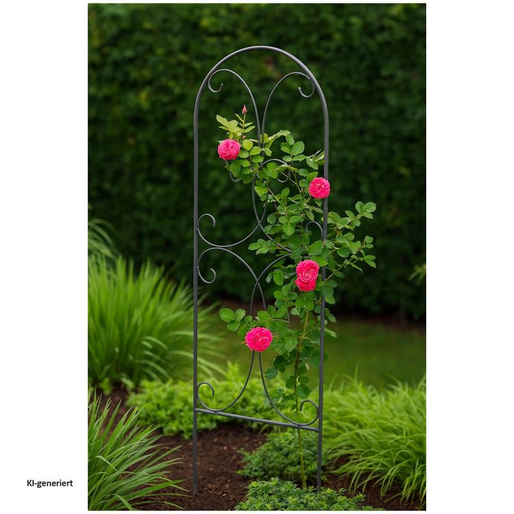 Produktbild: HTI-Living Produkt 39143 Artikel 50536