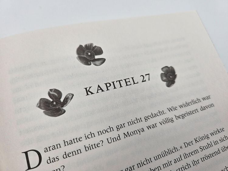 Produktbild: Crimson Sky – Der Schattenprinz