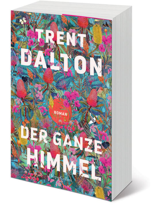 Produktbild: Der ganze Himmel