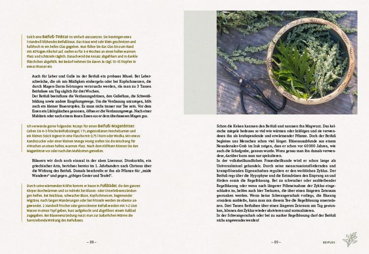 Produktbild: Die wilden Neun