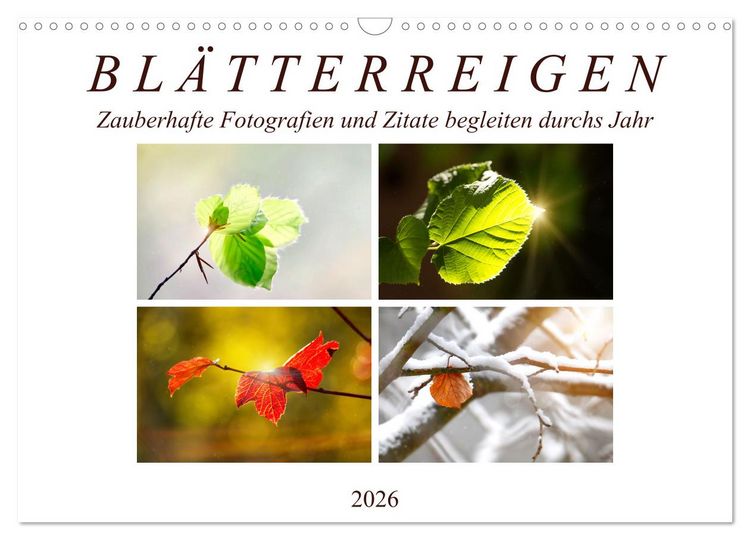 Produktbild: Bl&auml;tterreigen (Wandkalender 2026 DIN A3 quer), CALVENDO Monatskalender