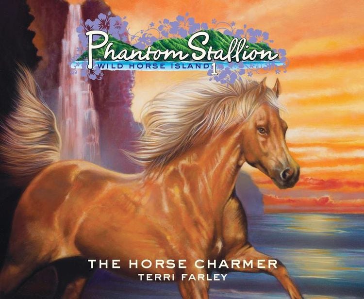 Produktbild: Phantom Stallion, Wild Horse Island, 25: The Horse Charmer