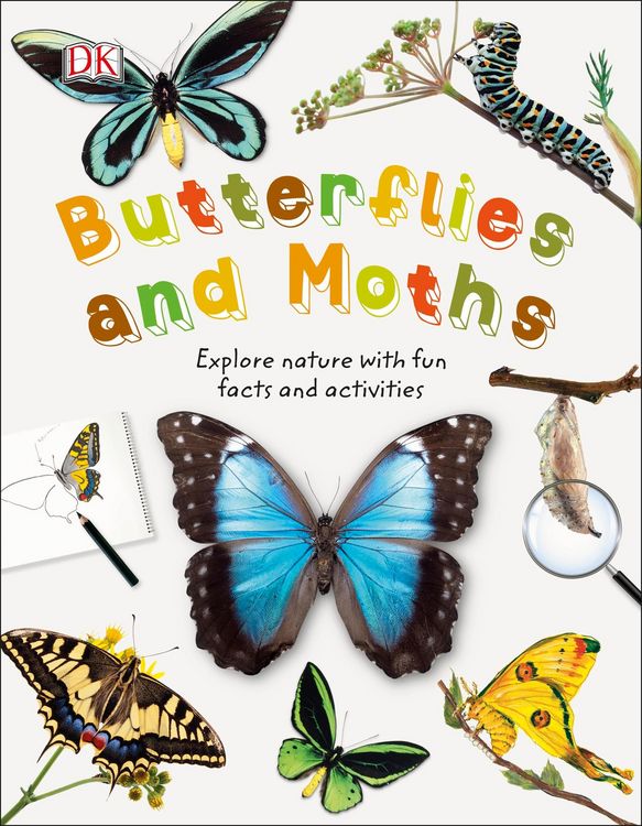 Produktbild: Butterflies and Moths
