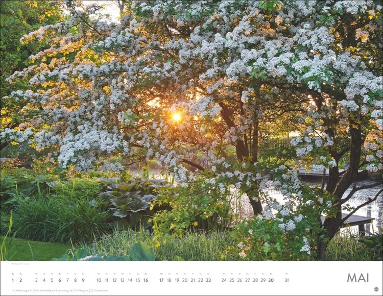 Produktbild: Gartenparadies Posterkalender 2027