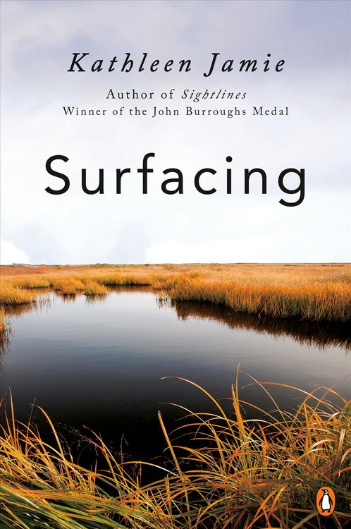 Produktbild: Surfacing