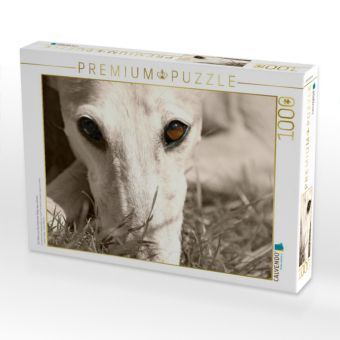 Produktbild: CALVENDO Puzzle Ein Motiv aus dem Kalender Galgo eye-catcher | 1000 Teile Lege-Gr&ouml;&szlig;e 64x48cm Foto-Puzzle f&uuml;r gl&uuml;ckliche Stunden