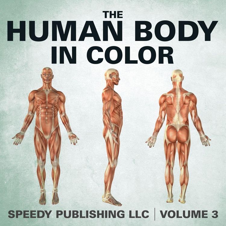 Produktbild: The Human Body In Color Volume 3