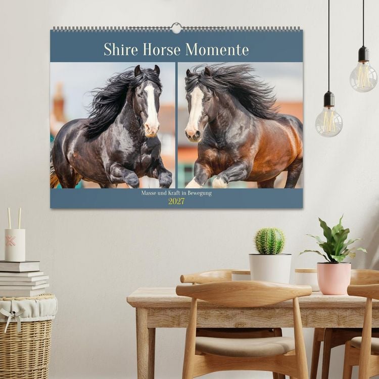 Produktbild: Shire Horse Momente. Masse und Kraft in Bewegung (Wandkalender 2027 DIN A2 quer), CALVENDO Monatskalender