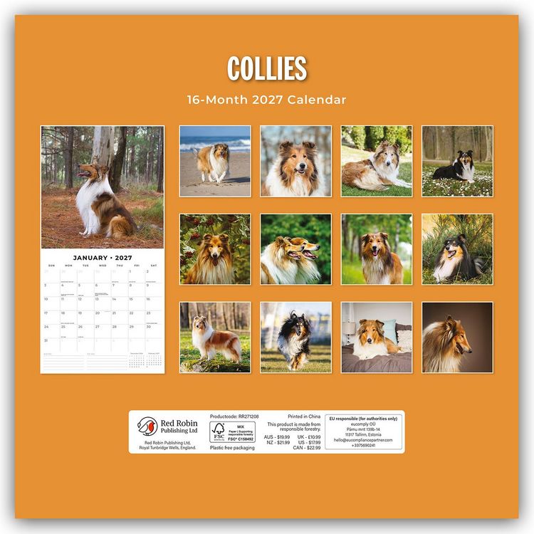 Produktbild: Collies &ndash; Collie 2027 &ndash; 16-Monatskalender
