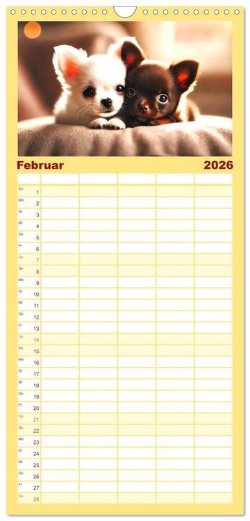 Produktbild: Familienplaner 2026 - Chihuahua-Welpen &ndash; Kleine Wunder mit 5 Spalten (Wandkalender, 21 x 45 cm) CALVENDO