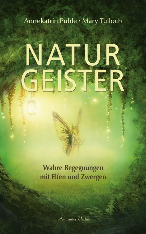 Produktbild: Naturgeister - Wahre Begegnungen mit Elfen und Zwergen