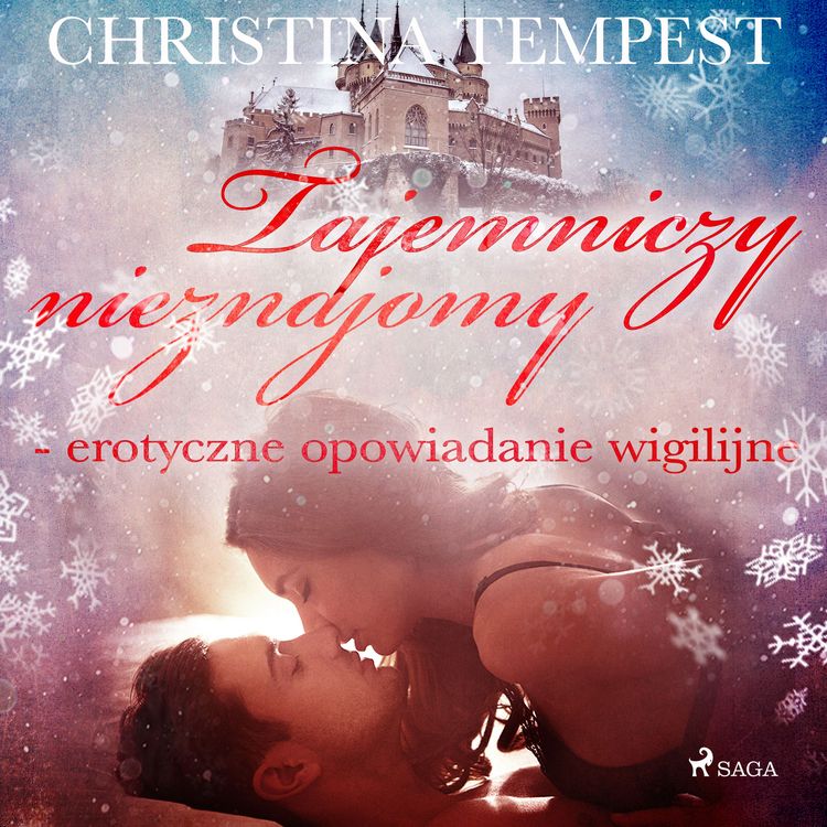 Produktbild: Tajemniczy nieznajomy - erotyczne opowiadanie wigilijne