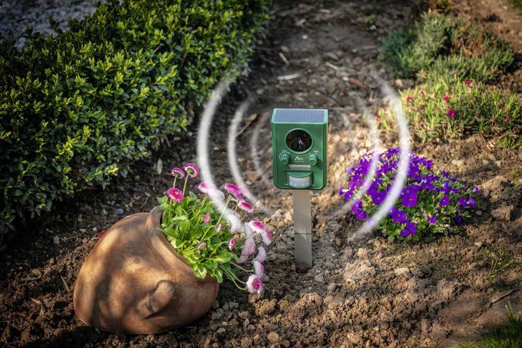 Produktbild: Gardigo Tiervertreiber Funktionsart Multifrequenz, LED-Licht, Solar 1St.