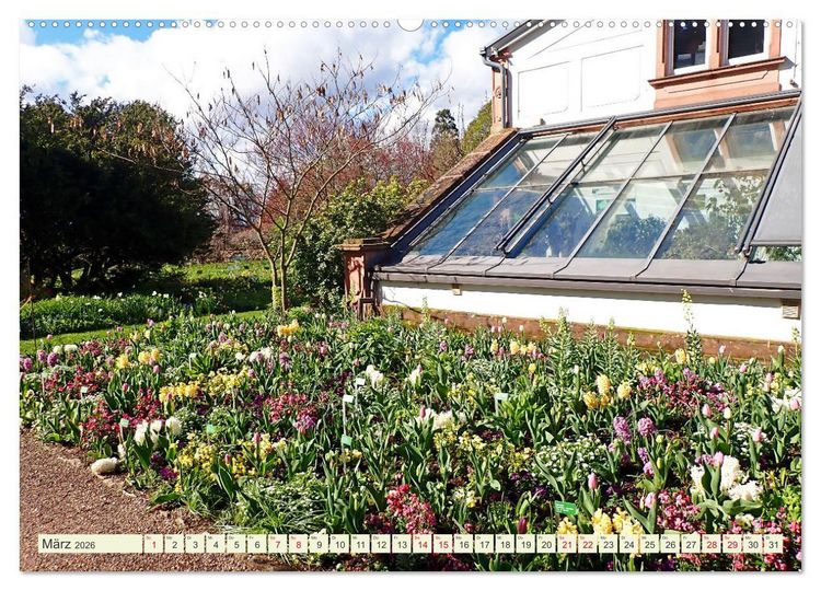 Produktbild: Weinheim erleben Schlosspark, Burgen und einladender Marktplatz (Wandkalender 2026 DIN A2 quer), CALVENDO Monatskalender