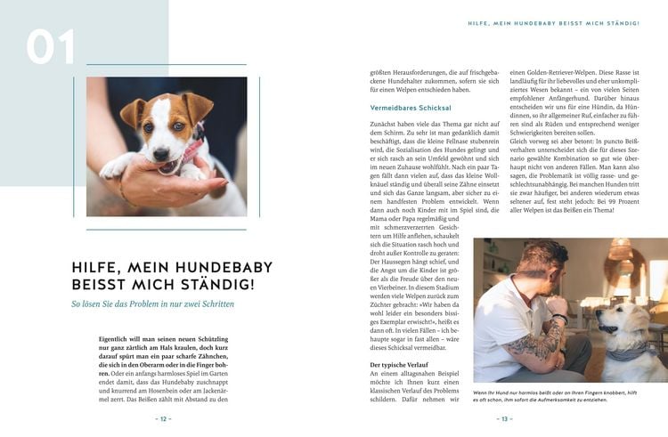 Produktbild: Hilfe, mein Hund macht, was er will!