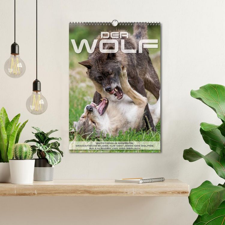 Produktbild: Emotionale Momente: Der Wolf. (Wandkalender 2026 DIN A3 hoch), CALVENDO Monatskalender