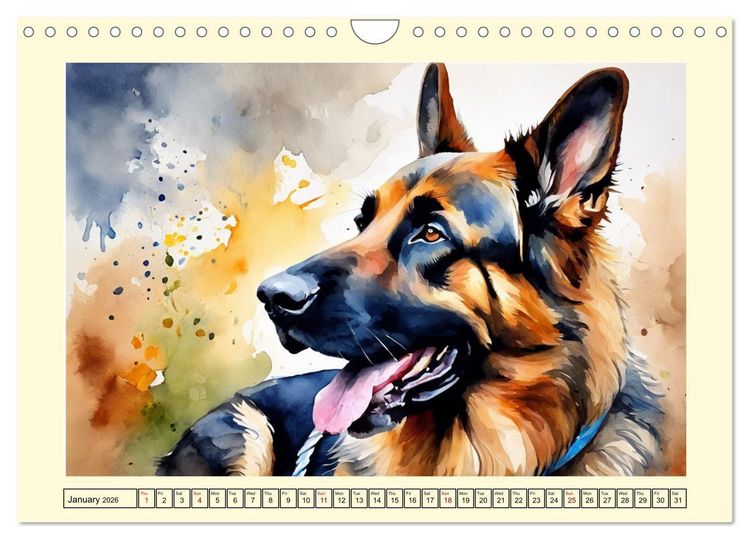 Produktbild: German Shepherds - classics around the globe (Wall Calendar 2026 DIN A4 landscape), CALVENDO 12 Month Wall Calendar