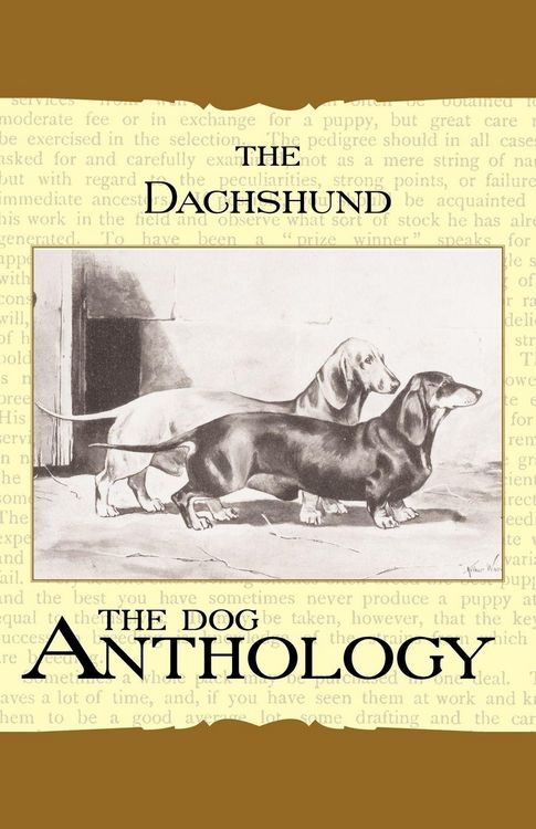Produktbild: The Daschund - A Dog Anthology (A Vintage Dog Books Breed Classic)