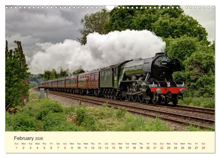 Produktbild: Steam Landscape (Wall Calendar 2026 DIN A3 landscape), CALVENDO 12 Month Wall Calendar