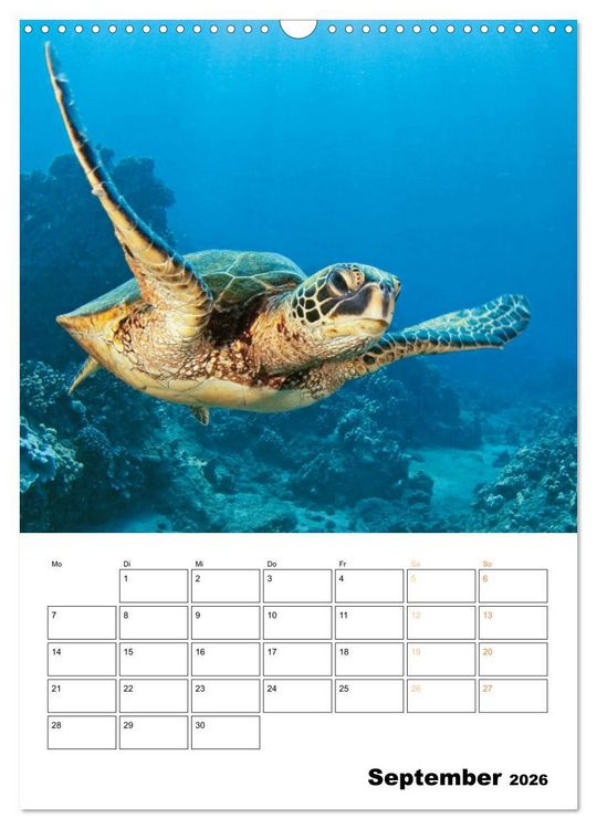 Produktbild: Wunderbare Wasserwelt der Meeresschildkr&ouml;ten (Wandkalender 2026 DIN A3 hoch), CALVENDO Monatskalender