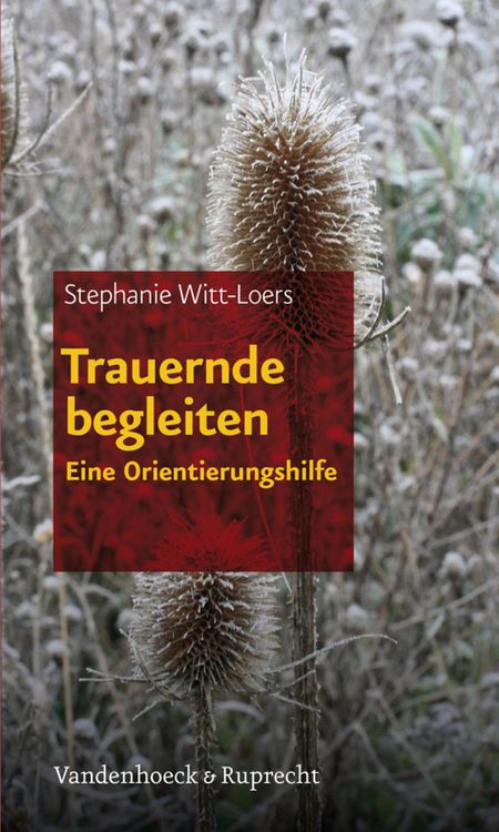 Produktbild: Trauernde begleiten