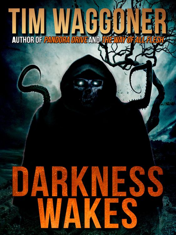 Produktbild: Darkness Wakes