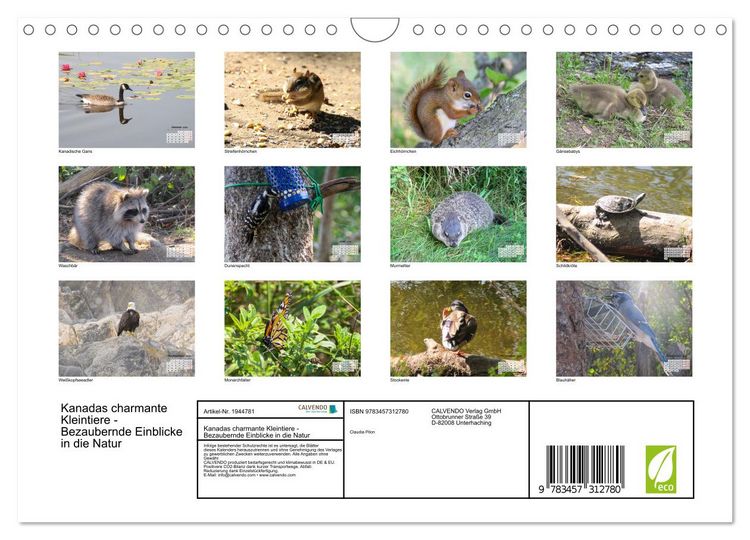 Produktbild: Kanadas charmante Kleintiere - Bezaubernde Einblicke in die Natur (Wandkalender 2026 DIN A4 quer), CALVENDO Monatskalender
