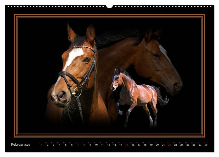 Produktbild: Traumpferde-ART-Collection (hochwertiger Premium Wandkalender 2026 DIN A2 quer), Kunstdruck in Hochglanz