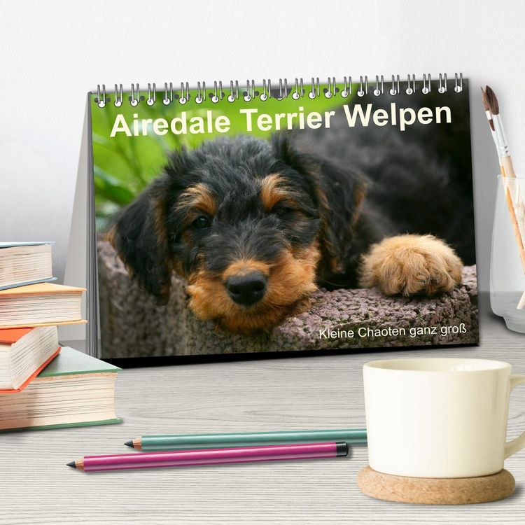 Produktbild: Airedale Terrier Welpen (Tischkalender 2026 DIN A5 quer), CALVENDO Monatskalender
