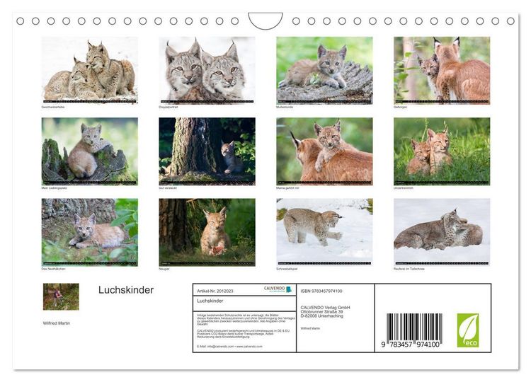 Produktbild: Luchskinder (Wandkalender 2026 DIN A4 quer), CALVENDO Monatskalender