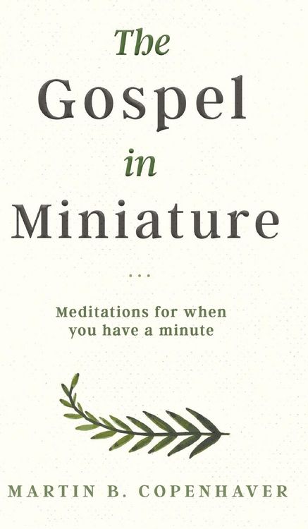 Produktbild: The Gospel in Miniature