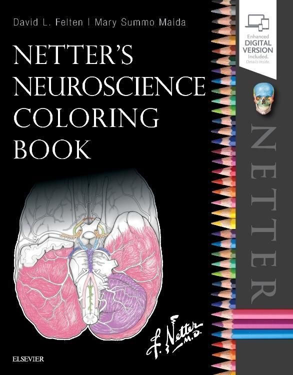 Produktbild: Felten, D: Netter's Neuroscience Coloring Book