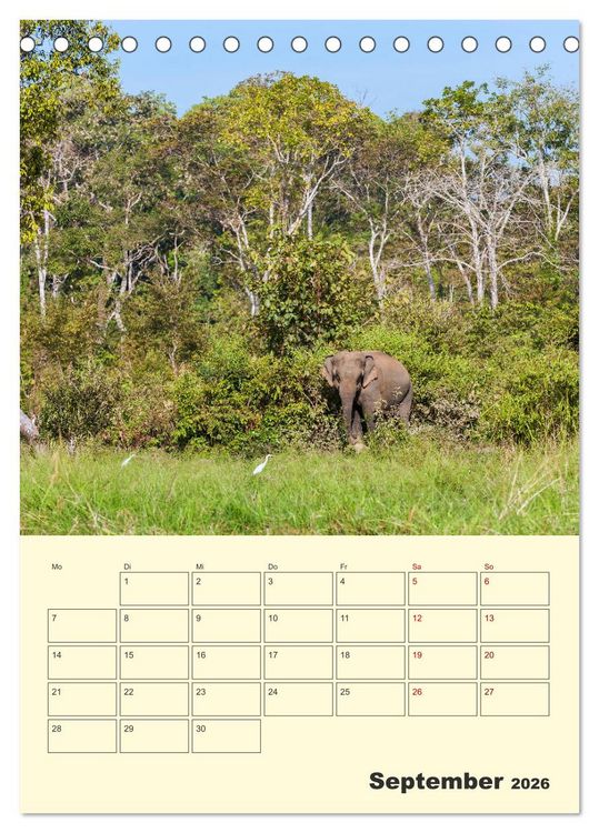 Produktbild: ELEFANTEN - Asiens graue Riesen (Tischkalender 2026 DIN A5 hoch), CALVENDO Monatskalender