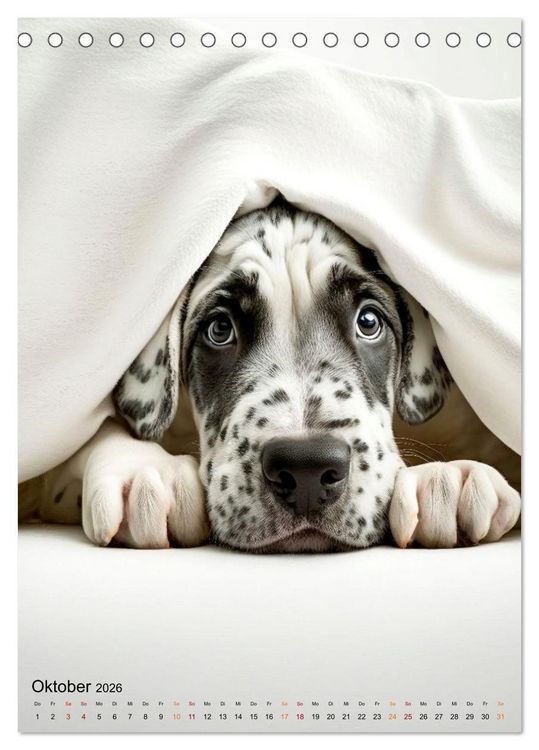 Produktbild: Deutsche Dogge - freundlicher Riese (Tischkalender 2026 DIN A5 hoch), CALVENDO Monatskalender