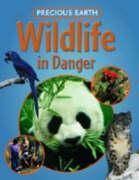 Produktbild: Precious Earth Wildlife in Danger