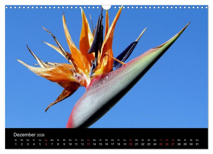 Produktbild: Madeira 2026 (Wandkalender 2026 DIN A3 quer), CALVENDO Monatskalender