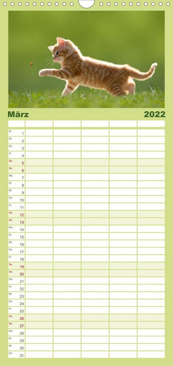 Produktbild: Familienplaner K&auml;tzchen 2022 (Wandkalender 2022 , 21 cm x 45 cm, hoch)