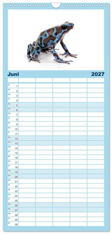 Produktbild: Familienplaner 2027 - Farbenpracht der Fr&ouml;sche mit 5 Spalten (Wandkalender, 21 x 45 cm) CALVENDO