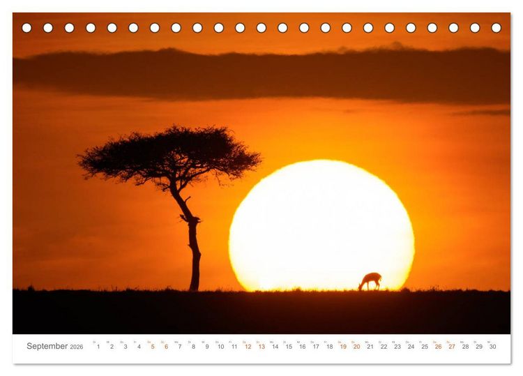 Produktbild: Safari Kenia (Tischkalender 2026 DIN A5 quer), CALVENDO Monatskalender
