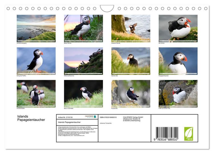 Produktbild: Islands Papageientaucher (Wandkalender 2026 DIN A4 quer), CALVENDO Monatskalender