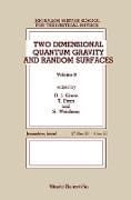 Produktbild: Two Dimensional Quantum Gravity and Random Surfaces - 8th Jerusalem Winter School for Theoretical Physics