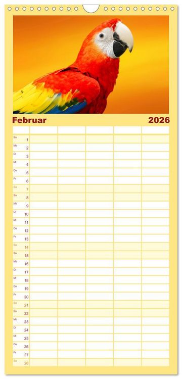 Produktbild: Familienplaner 2026 - Die bunte Welt der V&ouml;gel mit 5 Spalten (Wandkalender, 21 x 45 cm) CALVENDO