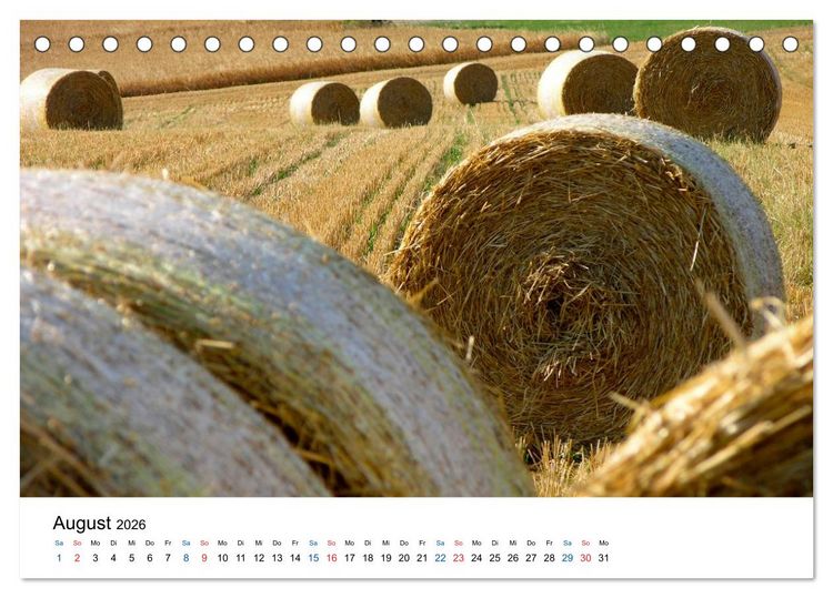 Produktbild: Felder und Wiesen (Tischkalender 2026 DIN A5 quer), CALVENDO Monatskalender