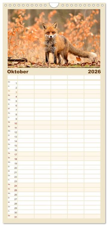 Produktbild: Familienplaner 2026 - Auf den Spuren der Stadtf&uuml;chse mit 5 Spalten (Wandkalender, 21 x 45 cm) CALVENDO