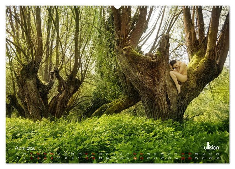 Produktbild: Poesie der Stille &ndash; Akt in der Natur (Wandkalender 2026 DIN A2 quer), CALVENDO Monatskalender