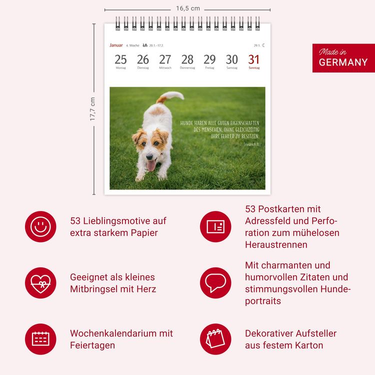 Produktbild: Hunde Premium-Postkartenkalender 2027 - Freunde auf vier Pfoten; Kalender mit 53 Postkarten