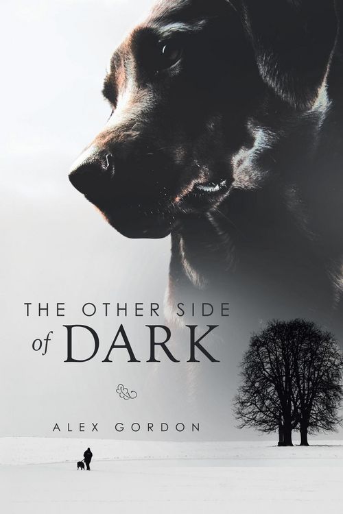 Produktbild: The Other Side of Dark