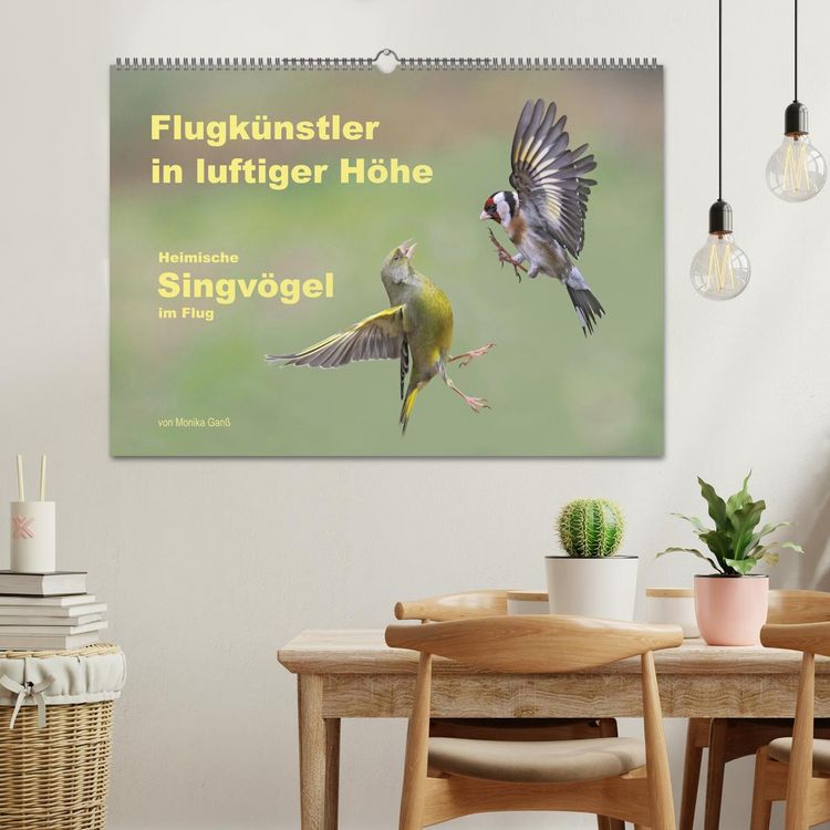 Produktbild: Flugk&uuml;nstler in luftiger H&ouml;he - Heimische Singv&ouml;gel im Flug (Wandkalender 2027 DIN A2 quer), CALVENDO Monatskalender