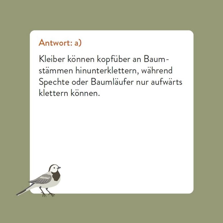 Produktbild: Das Vogel-Quiz
