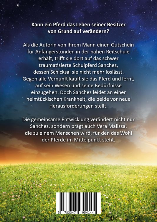 Produktbild: Reise zu einer Pferdeseele